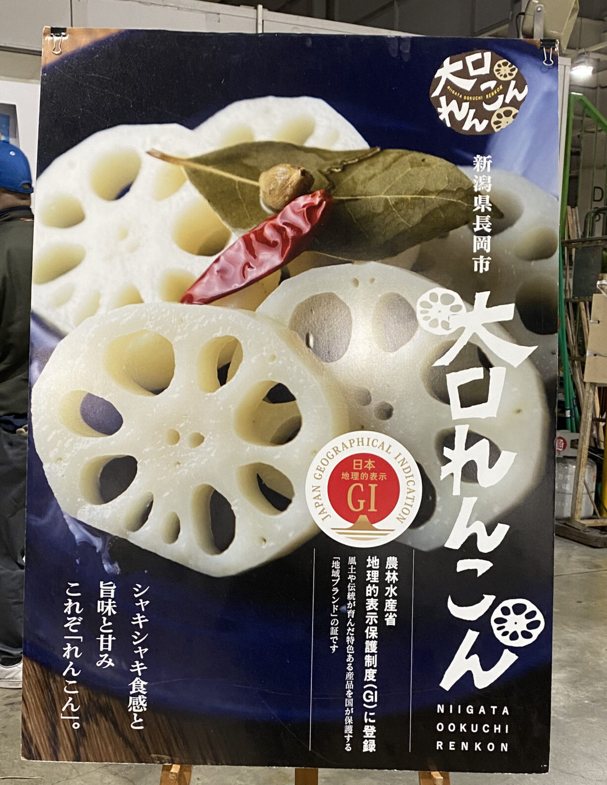 新潟中央青果 : 新潟県産 JAえちご中越 「大口れんこん」